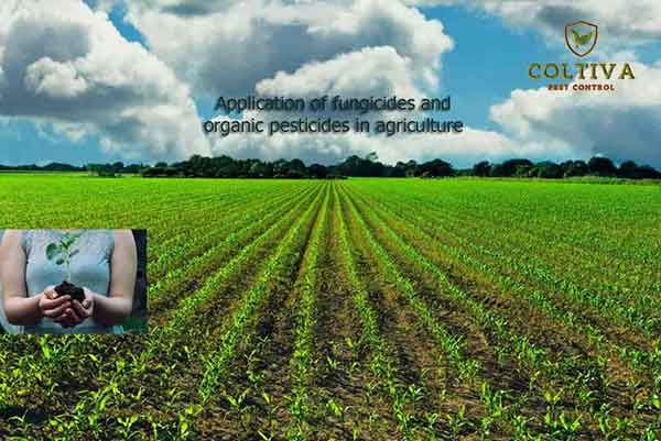 Application-of-fungicides-and-organic-pesticides-in-agriculture-web