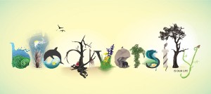 Biodiversity-by-dreamchaotic1-300x134