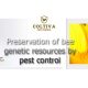Preservation of bee genetic resources by pest control management