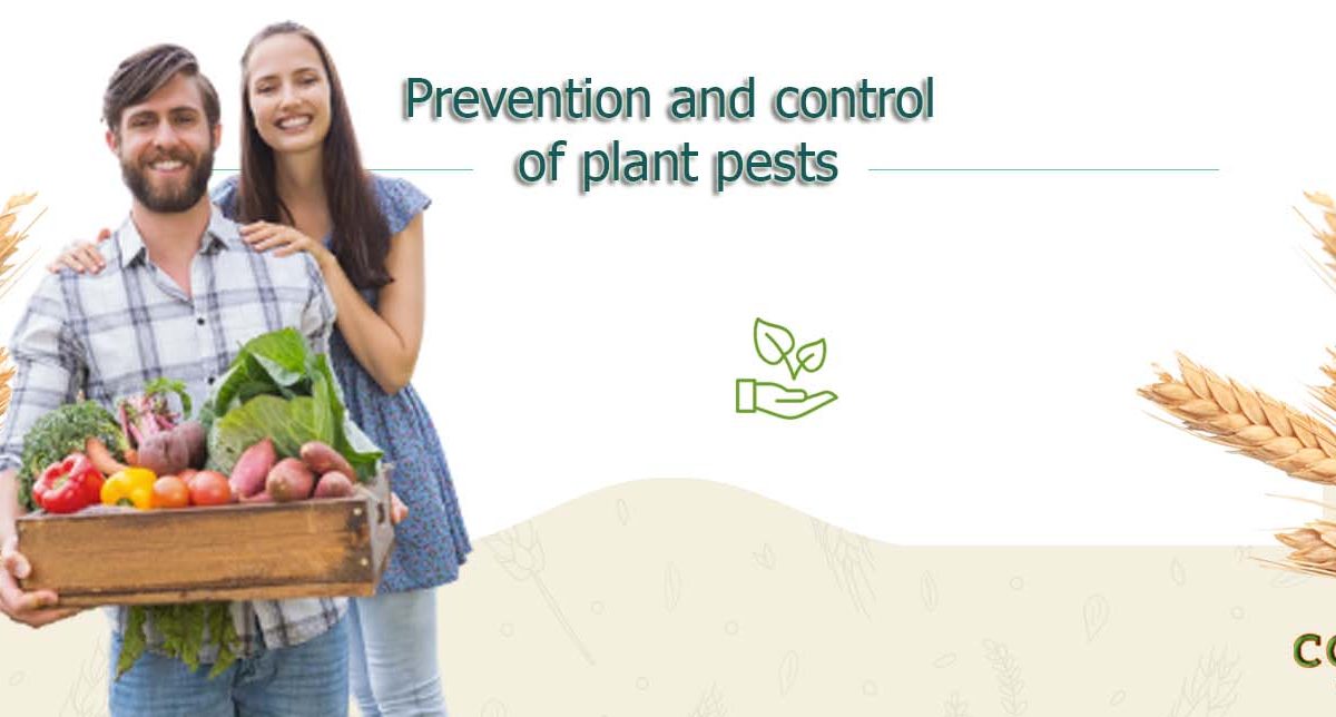 Prevention and control of plant pests
