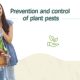 Prevention and control of plant pests