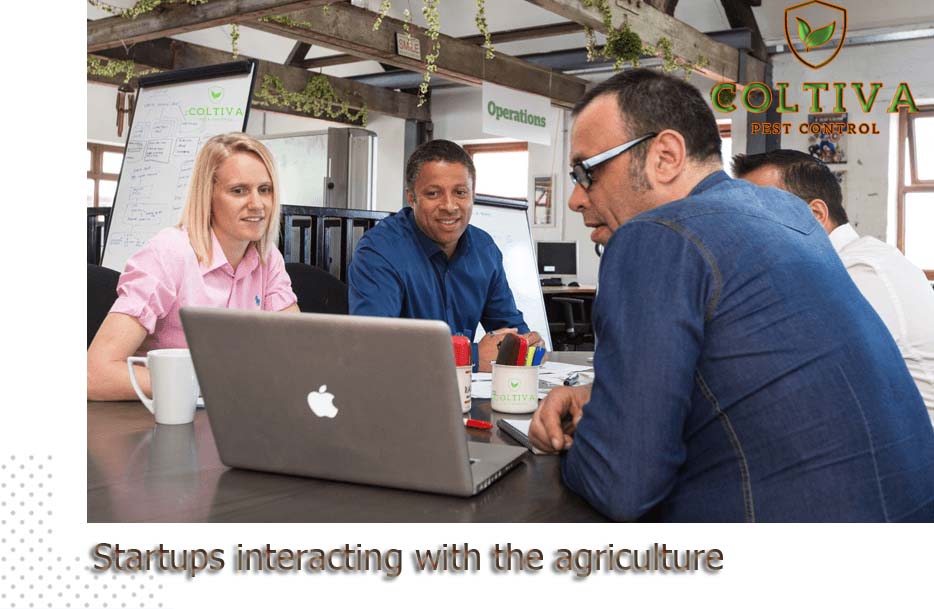Startups interacting with the agriculture