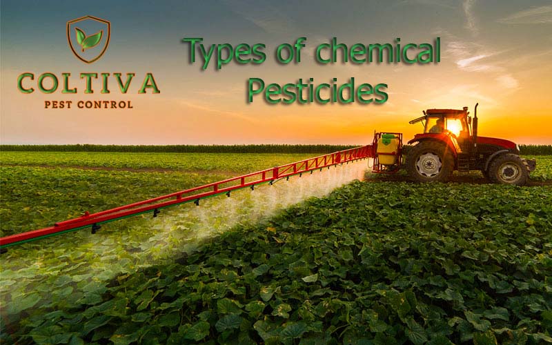Types of chemical Pesticides​