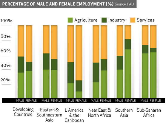 Women's role in agriculture