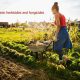 Organic herbicide