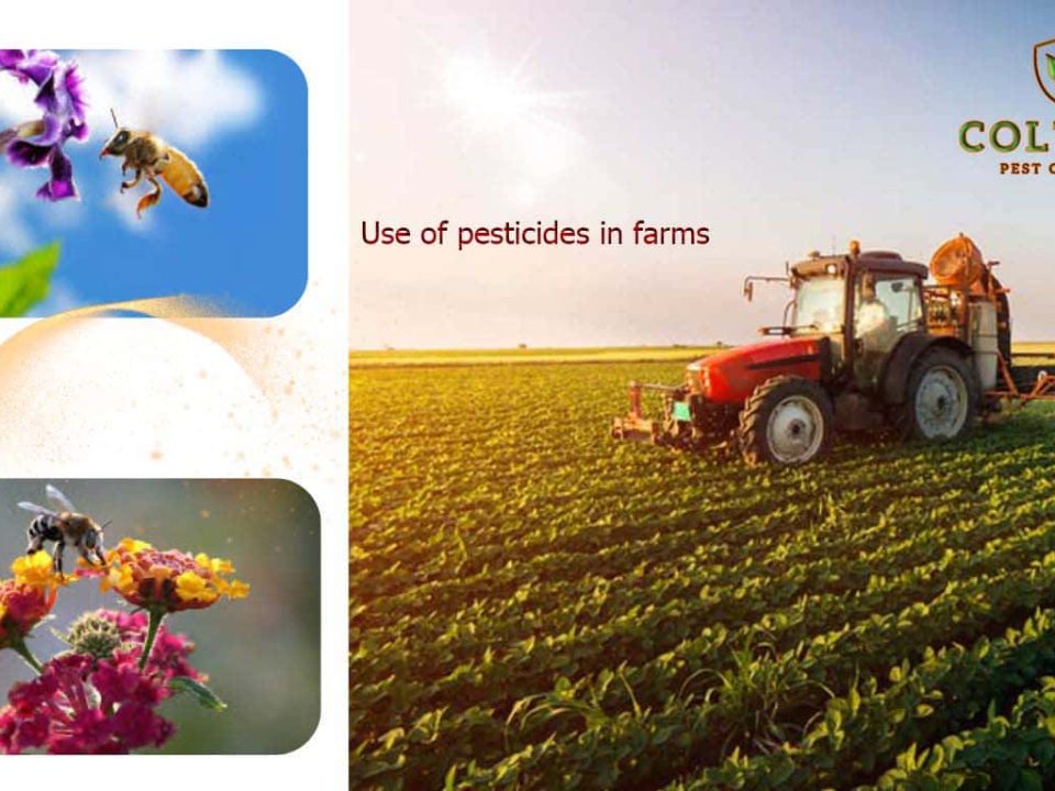 use of pesticides in farm-min