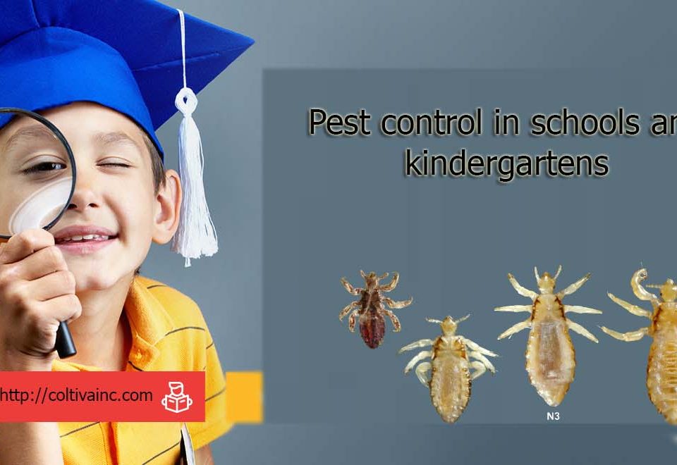 Pest control in schools and kindergartens