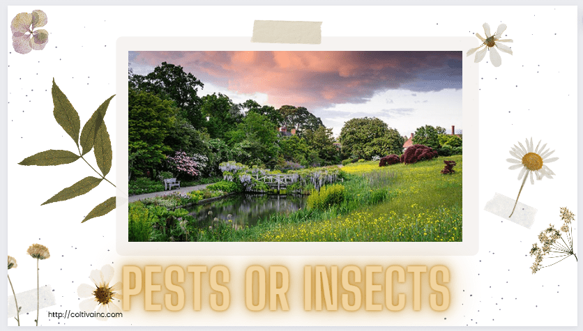 Pests or insects​