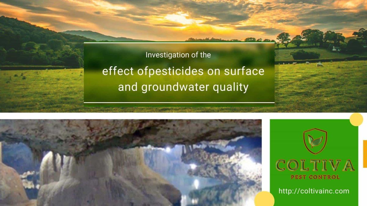 effect of pesticides on surface and groundwater quality