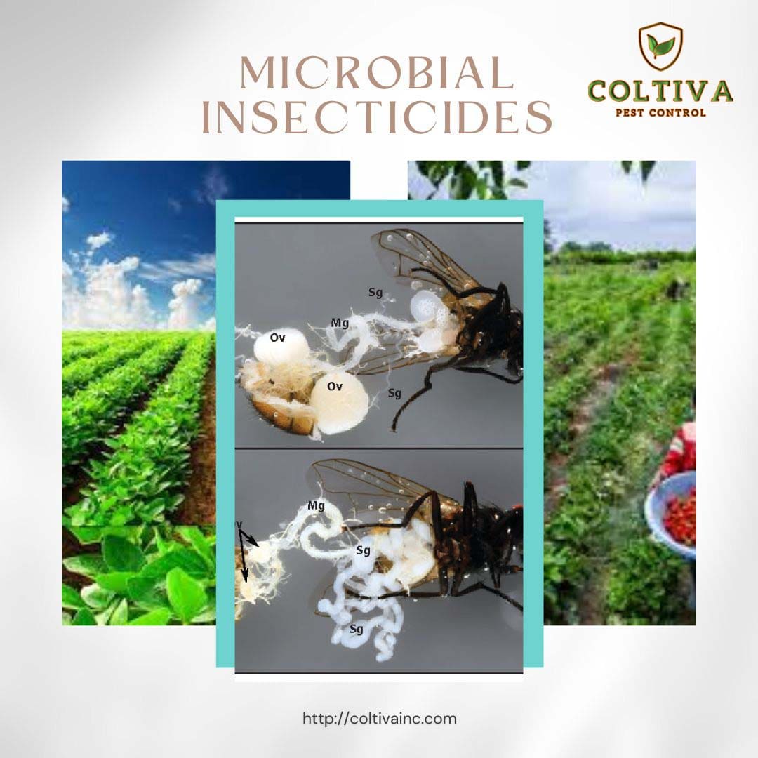 Effective Biological Control For Pests Coltiva Technologies Inc