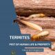 Termites are a pest of human life and property​ min