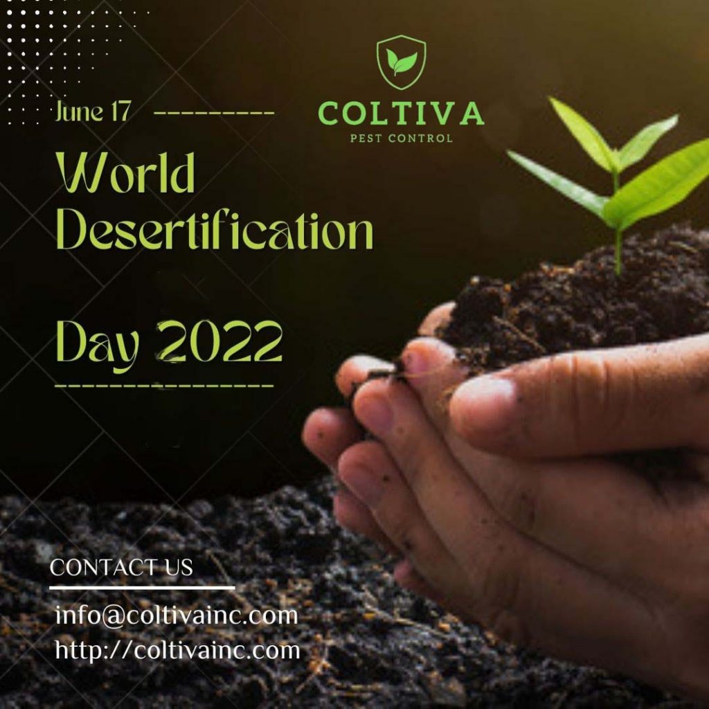 World Desertification Day