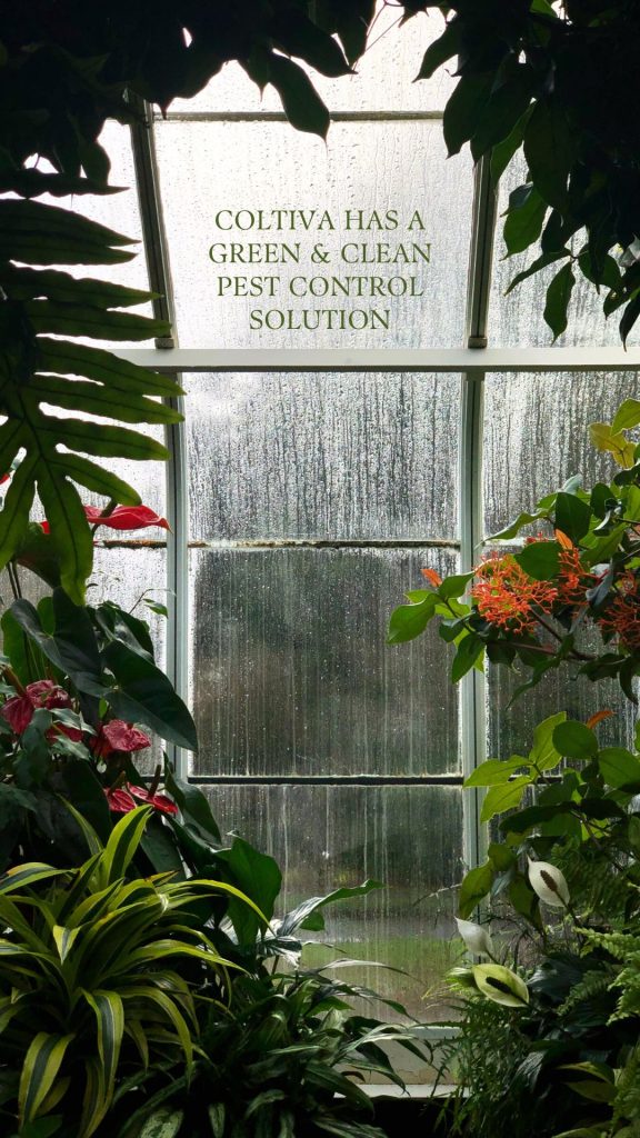 Eliminate greenhouse Pests Without Chemicals​