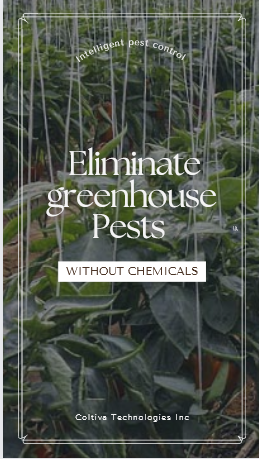 Eliminate greenhouse Pests